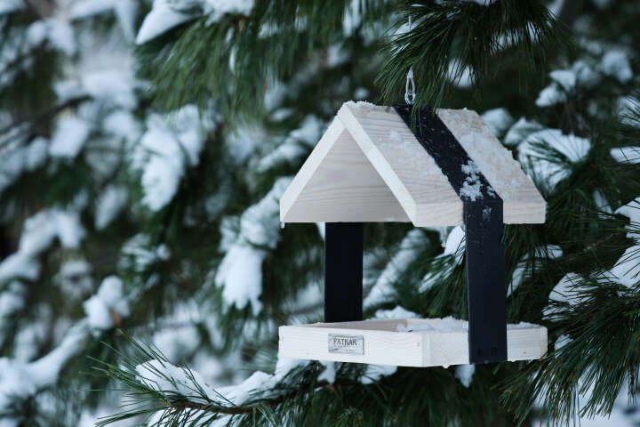 PATKAR Vogelhaus zum Aufhängen